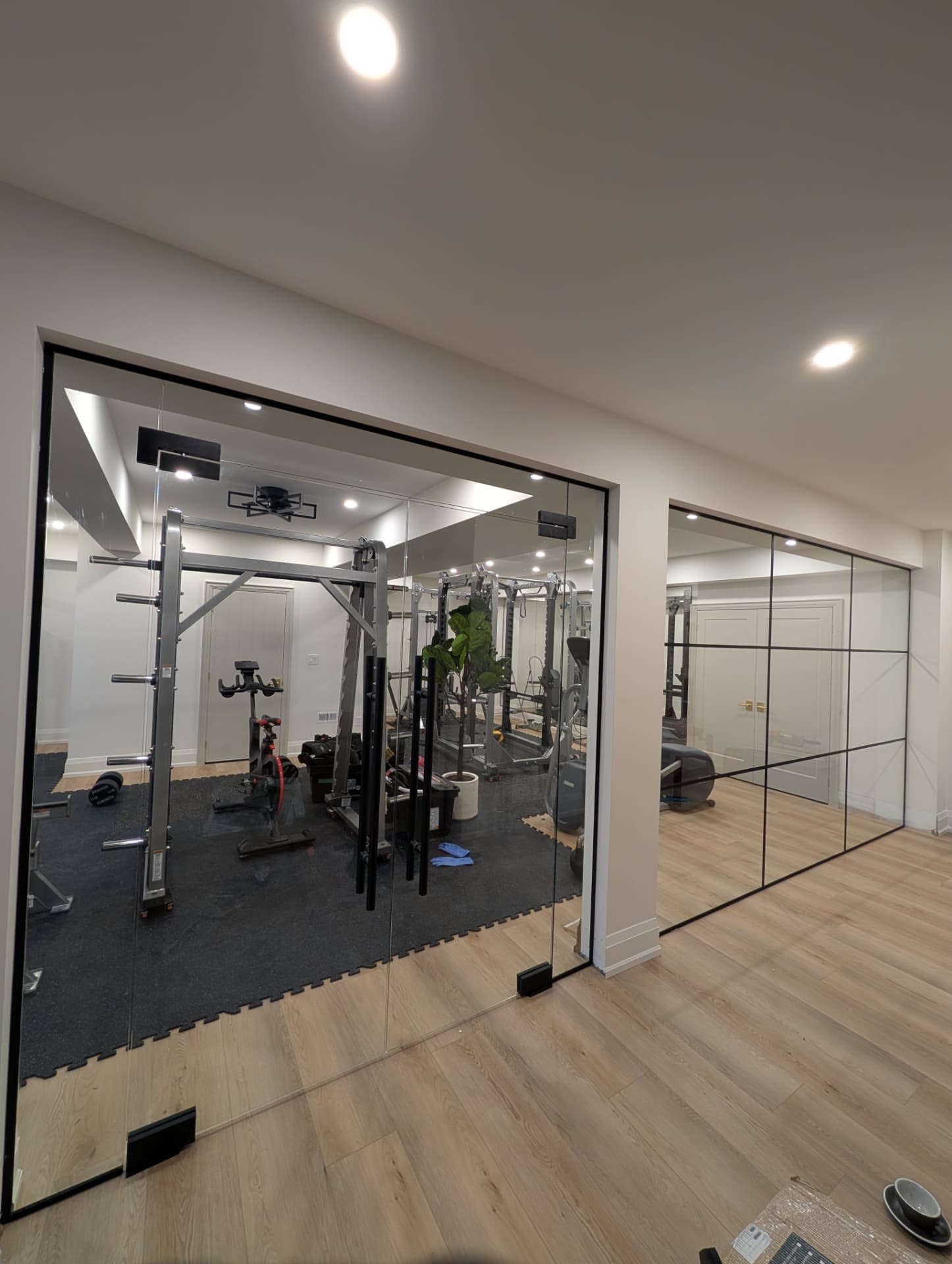 Mirrored wall and glass partition in a home gym